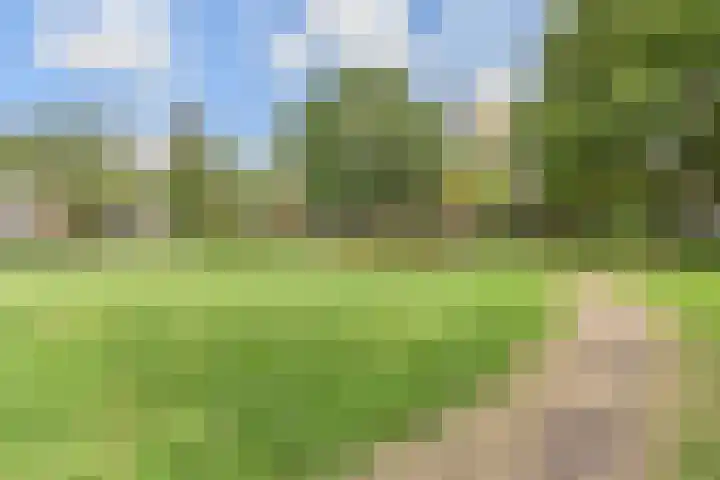 Aart van der Leeuwlaan 223 Delft thumbnail 46