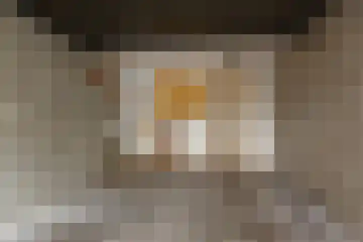 Aart van der Leeuwlaan 223 Delft thumbnail 48