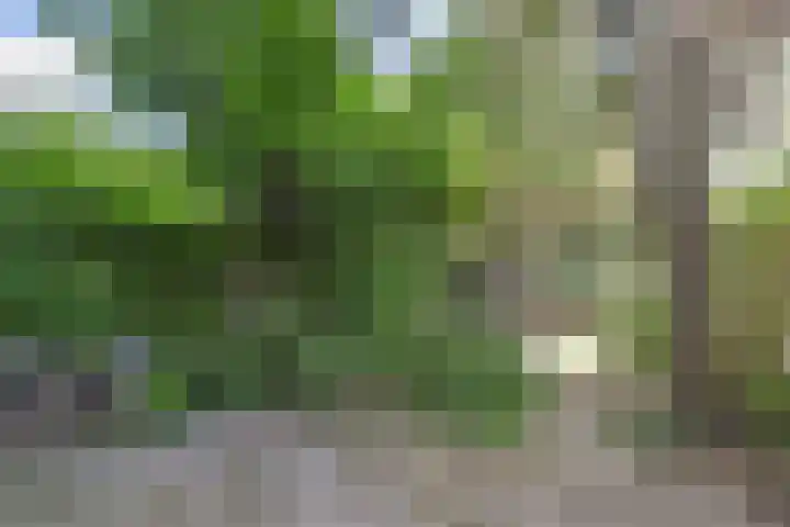 Aart van der Leeuwlaan 223 Delft thumbnail 5