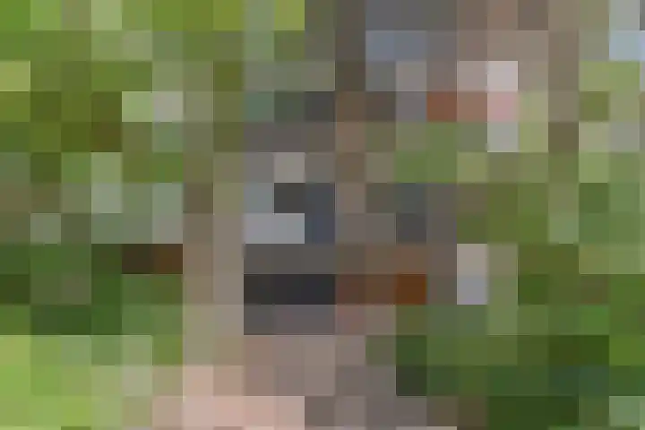 Aart van der Leeuwlaan 223 Delft thumbnail 50
