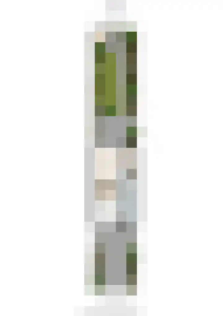 Aart van der Leeuwlaan 223 Delft thumbnail 61