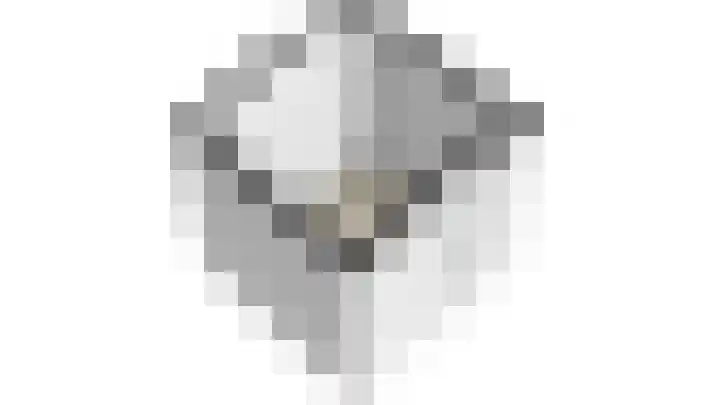 Aart van der Leeuwlaan 223 Delft thumbnail 64