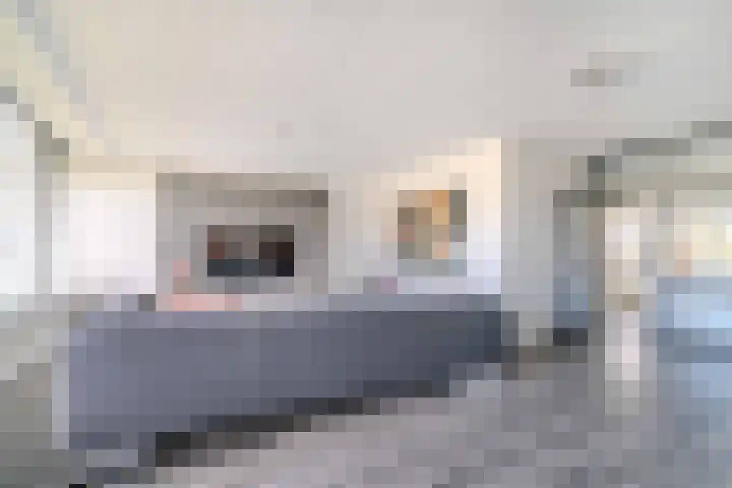 Aart van der Leeuwlaan 38 Delft thumbnail 11
