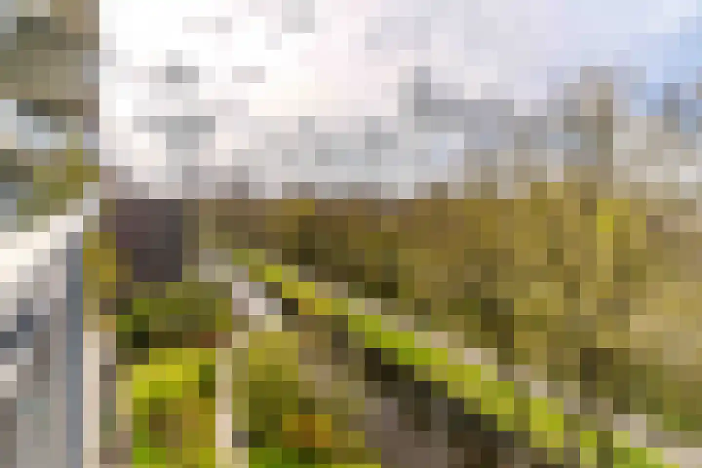 Aart van der Leeuwlaan 38 Delft thumbnail 18
