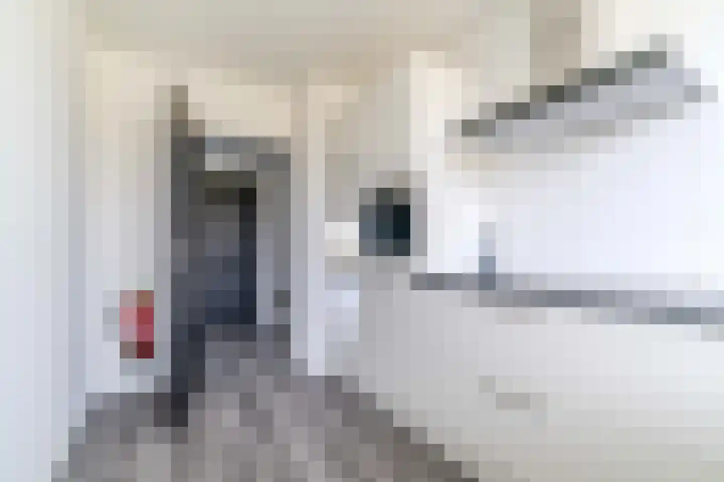 Aart van der Leeuwlaan 38 Delft thumbnail 21