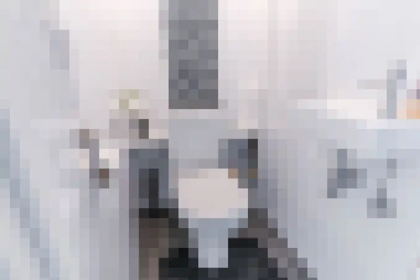 Aart van der Leeuwlaan 38 Delft thumbnail 31