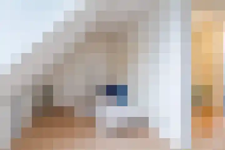 Aart van der Leeuwlaan 39 De Meern thumbnail 20