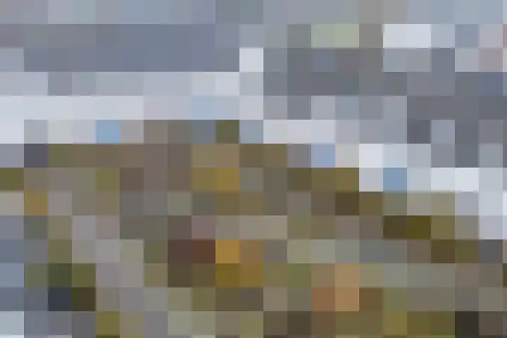 Aart van der Leeuwlaan 39 De Meern thumbnail 32