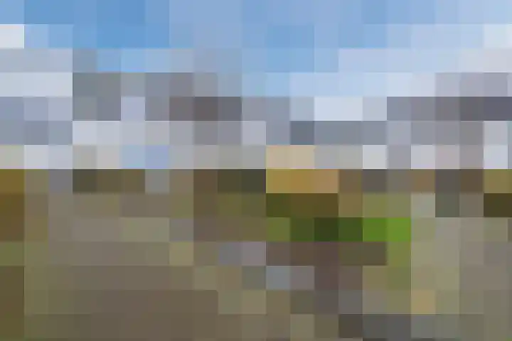 Aart van der Leeuwlaan 39 De Meern thumbnail 33