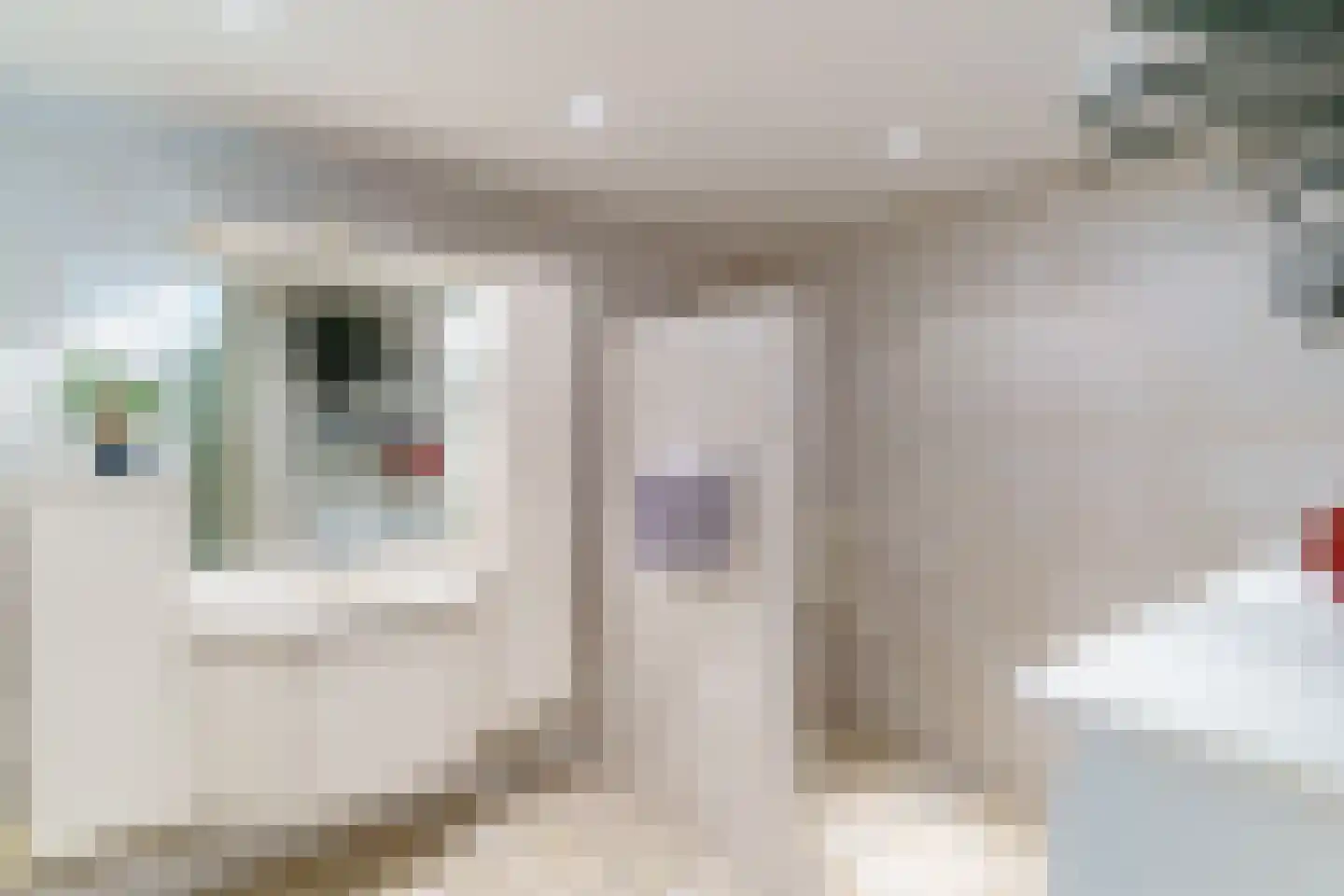 Aart van der Leeuwlaan 40 Delft thumbnail 23