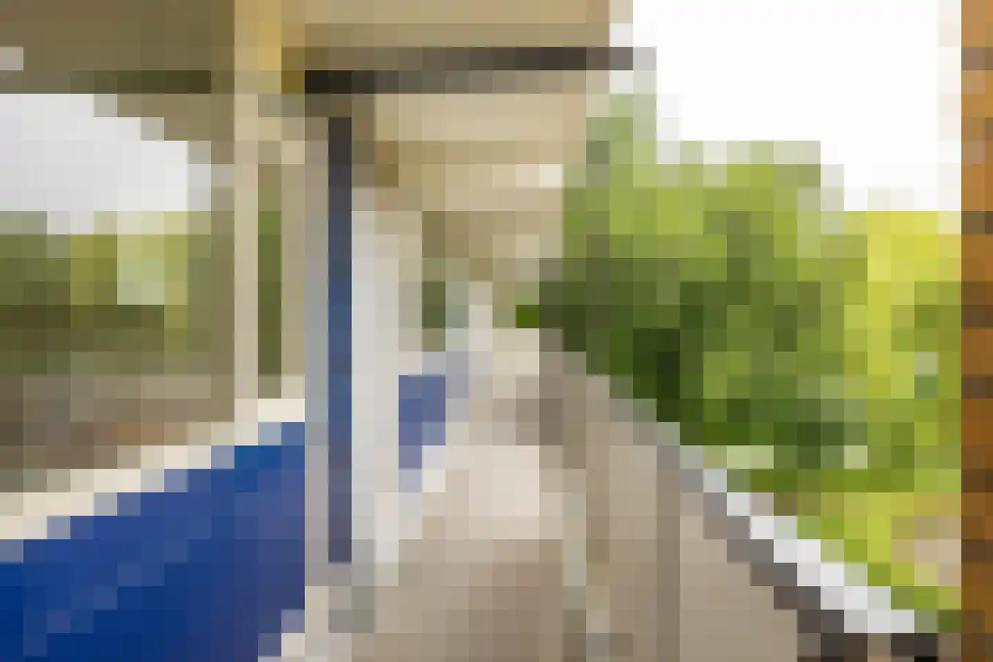 Aart van der Leeuwlaan 48 Groningen thumbnail 11