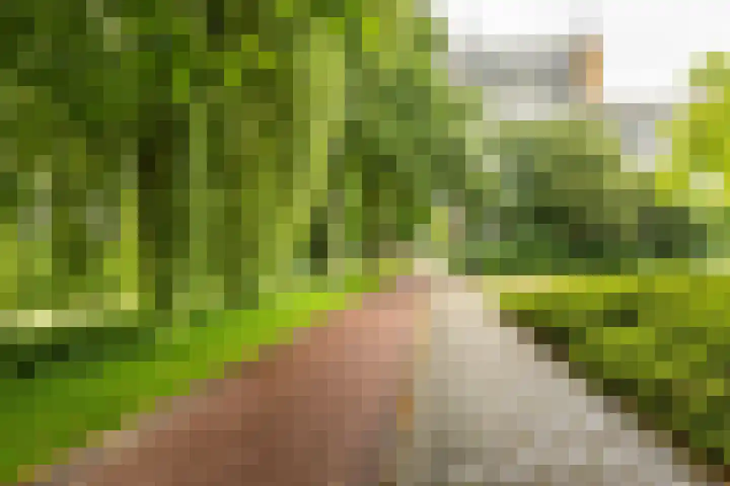 Aart van der Leeuwlaan 48 Groningen thumbnail 6