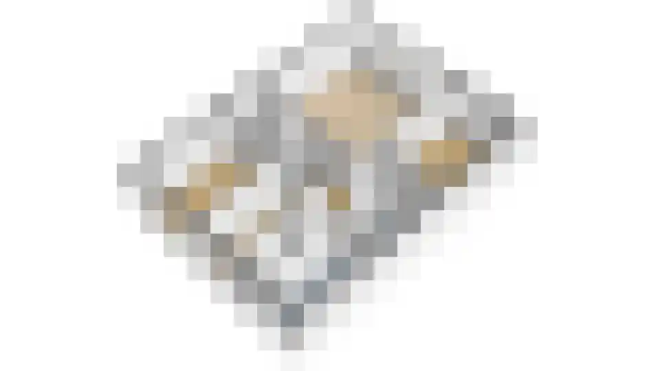 Aart van der Leeuwlaan 49 Delft thumbnail 19