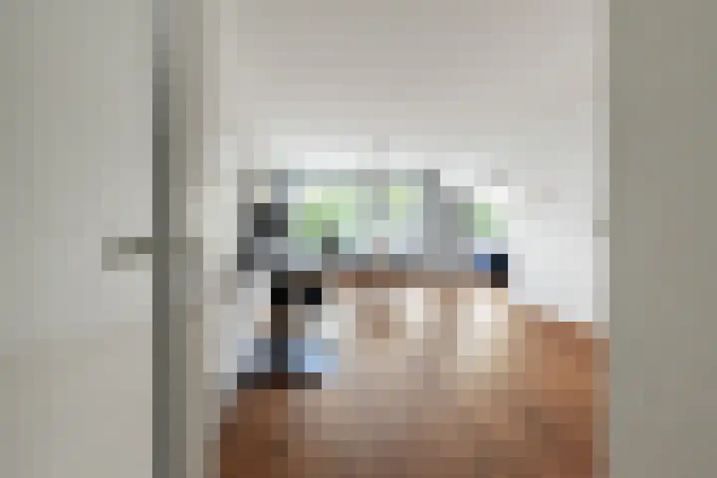 Aart van der Leeuwlaan 50 Groningen thumbnail 16