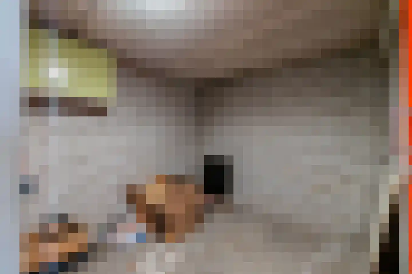 Aart van der Leeuwlaan 50 Groningen thumbnail 36