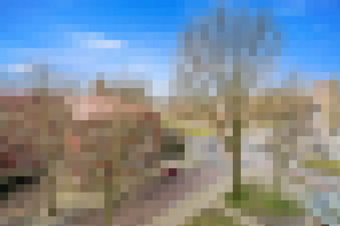 Aart van der Leeuwlaan 55 Delft thumbnail 24