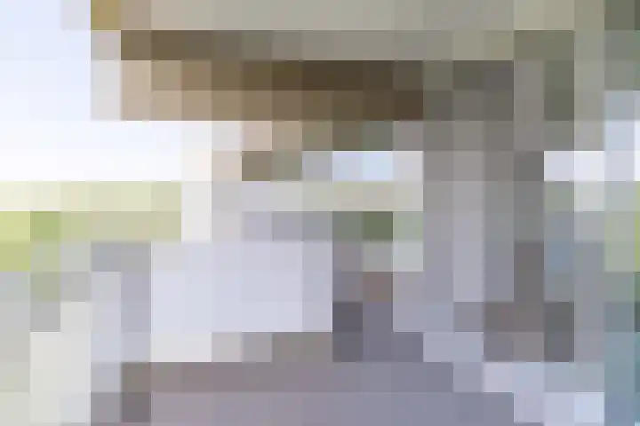 Aart van der Leeuwlaan 58 Delft thumbnail 14