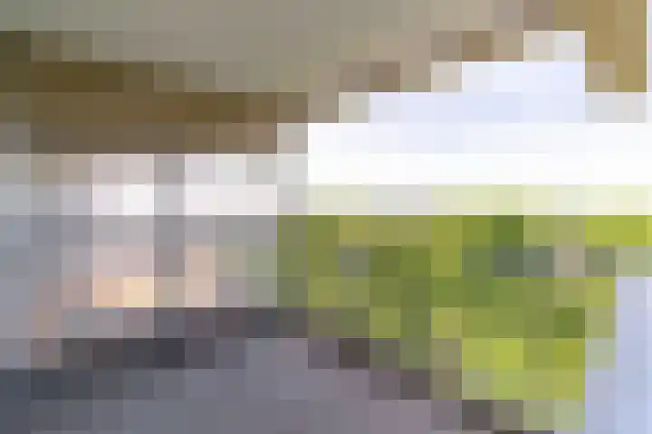 Aart van der Leeuwlaan 58 Delft thumbnail 15