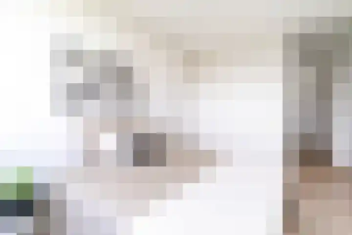 Aart van der Leeuwlaan 58 Delft thumbnail 22