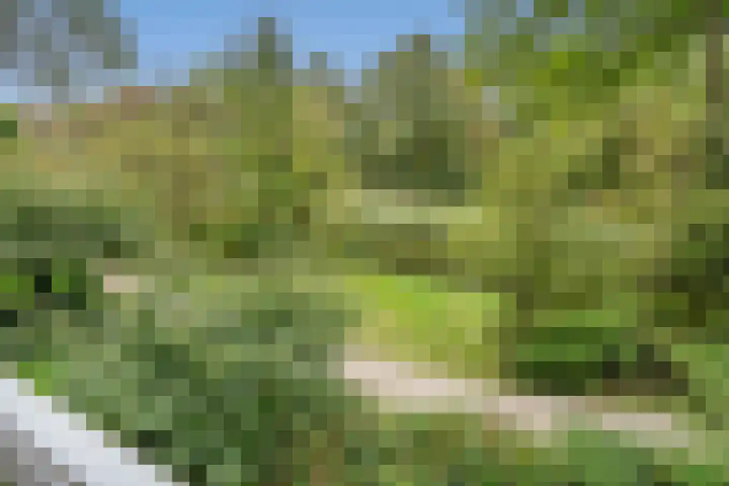 Aart van der Leeuwlaan 66 Delft thumbnail 12