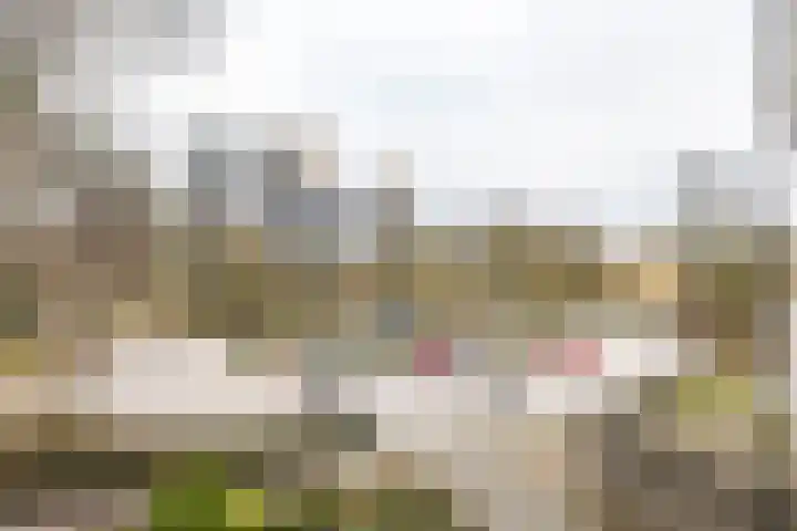 Aart van der Leeuwlaan 72 Groningen thumbnail 11