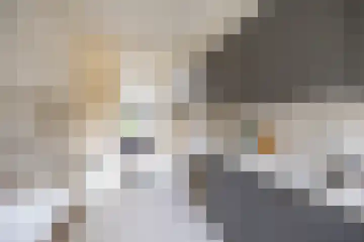 Aart van der Leeuwlaan 72 Groningen thumbnail 24