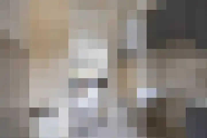 Aart van der Leeuwlaan 72 Groningen thumbnail 26