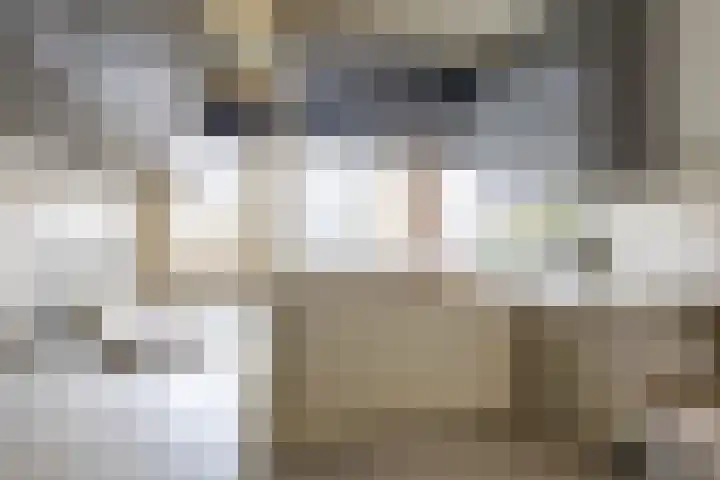 Aart van der Leeuwlaan 72 Groningen thumbnail 27