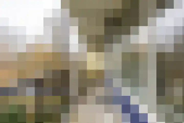 Aart van der Leeuwlaan 72 Groningen thumbnail 32