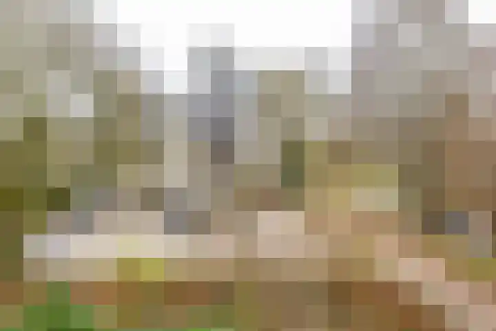 Aart van der Leeuwlaan 72 Groningen thumbnail 33