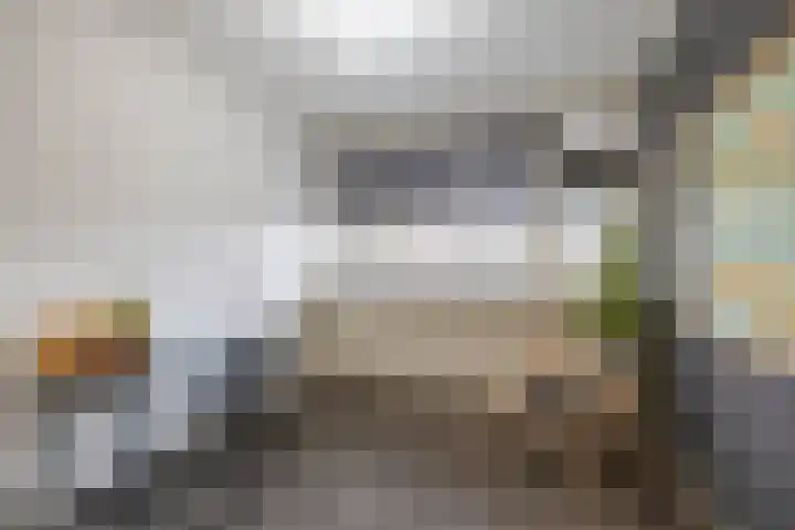 Aart van der Leeuwlaan 72 Groningen thumbnail 34
