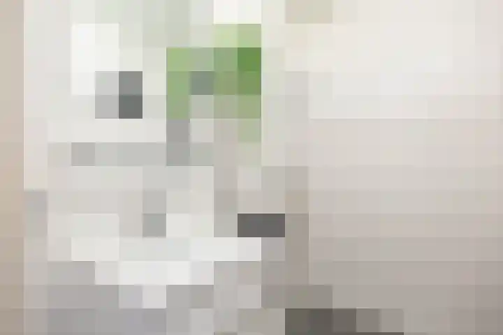Aart van der Leeuwlaan 72 Groningen thumbnail 39