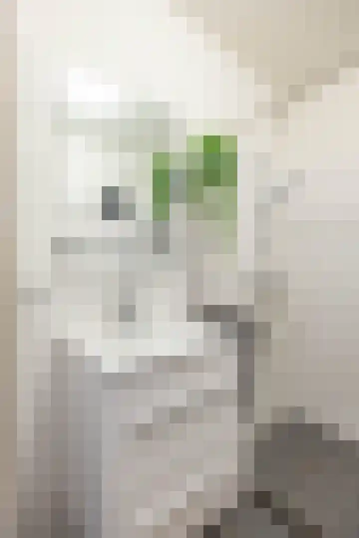 Aart van der Leeuwlaan 72 Groningen thumbnail 40