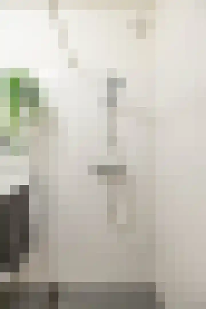Aart van der Leeuwlaan 72 Groningen thumbnail 42