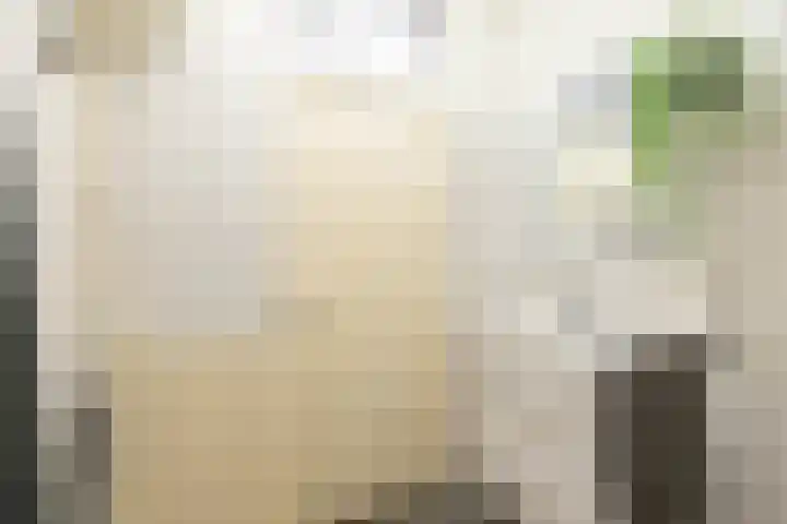 Aart van der Leeuwlaan 72 Groningen thumbnail 43
