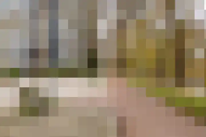 Aart van der Leeuwlaan 72 Groningen thumbnail 6
