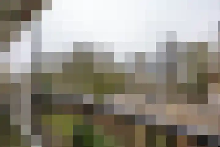 Aart van der Leeuwlaan 80 Groningen thumbnail 26