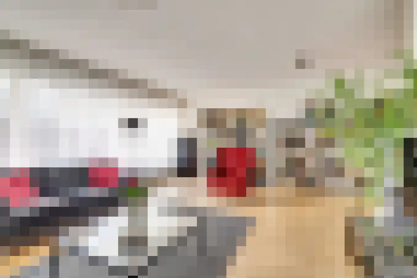 Aart van der Leeuwlaan 84 Delft thumbnail 14