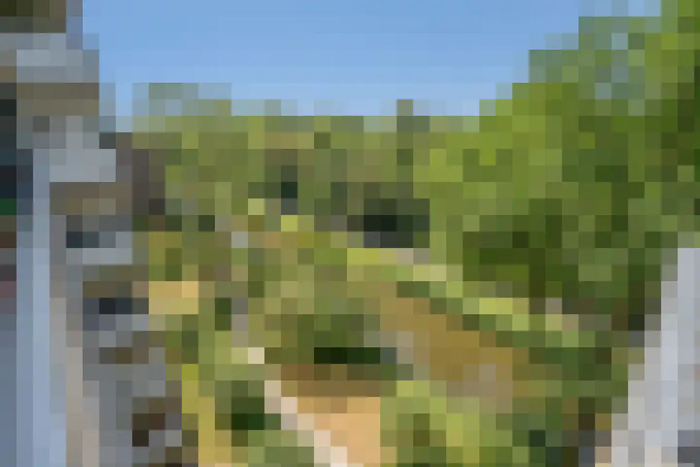 Aart van der Leeuwlaan 84 Delft thumbnail 16