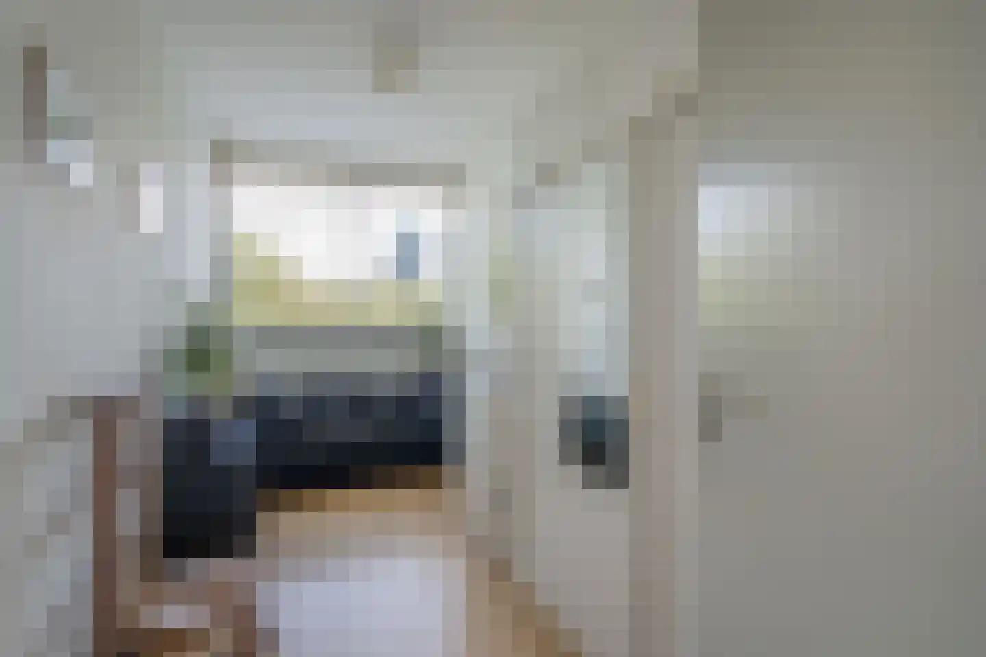 Aart van der Leeuwlaan 84 Delft thumbnail 22