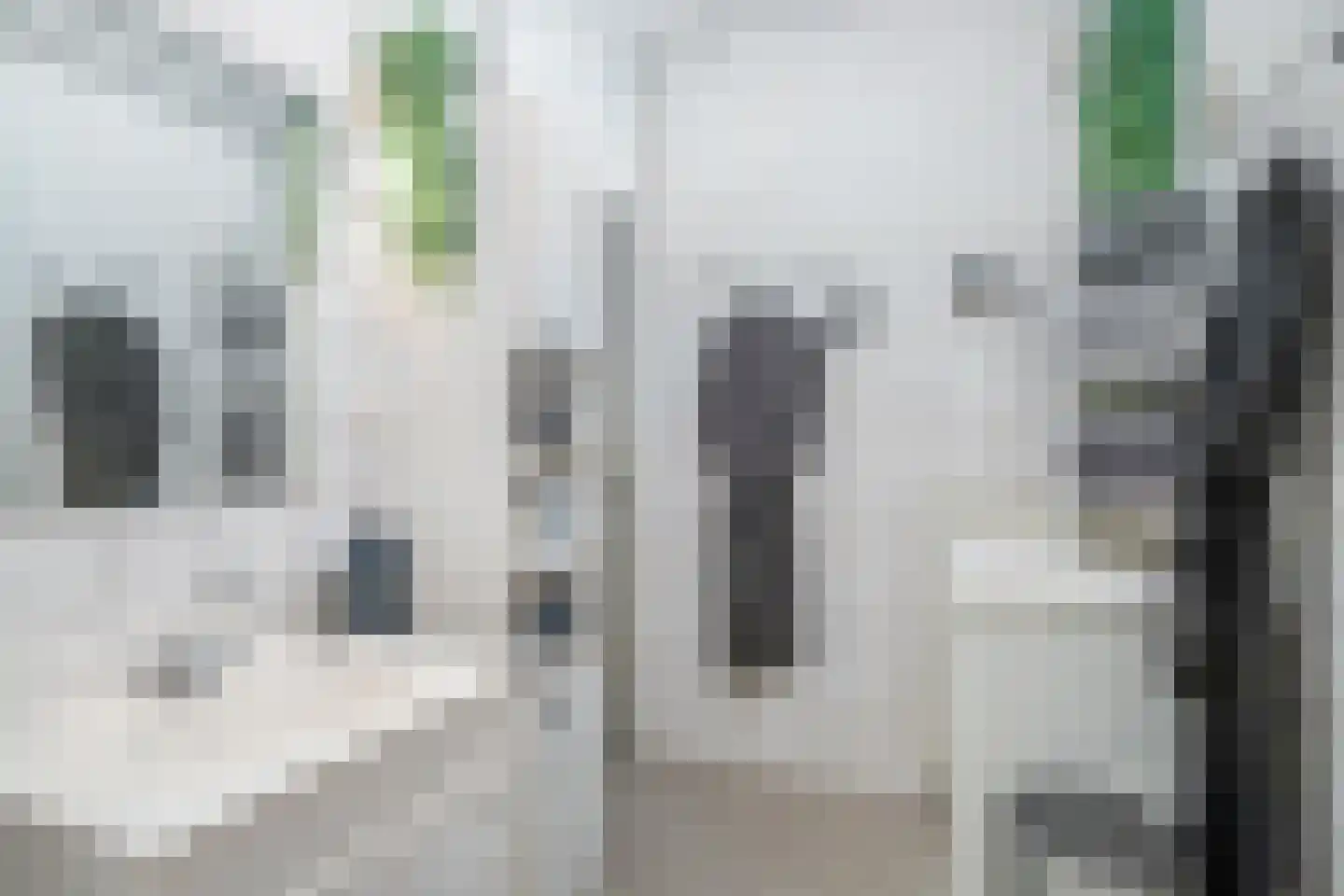 Aart van der Leeuwlaan 84 Delft thumbnail 29