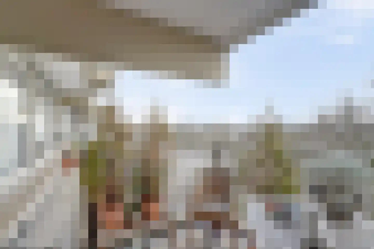 Aart van der Leeuwlaan 84 Delft thumbnail 32