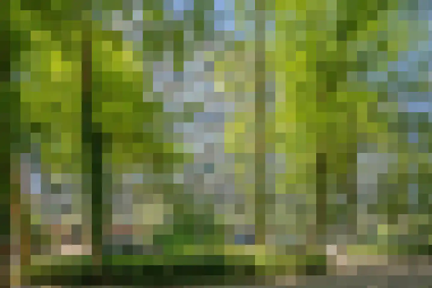 Aart van der Leeuwlaan 84 Delft thumbnail 5