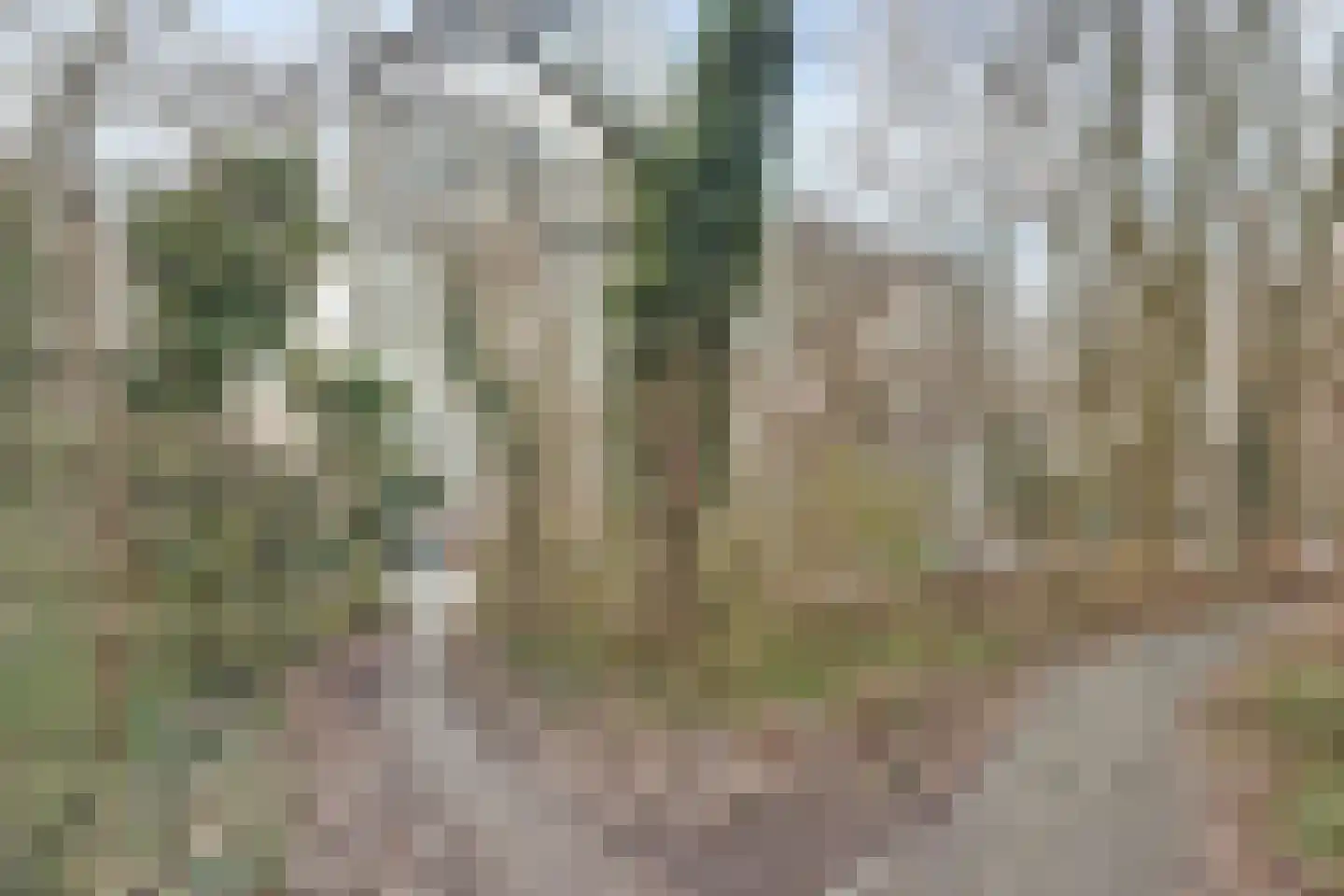 Aart van der Leeuwlaan 84 Delft thumbnail 7