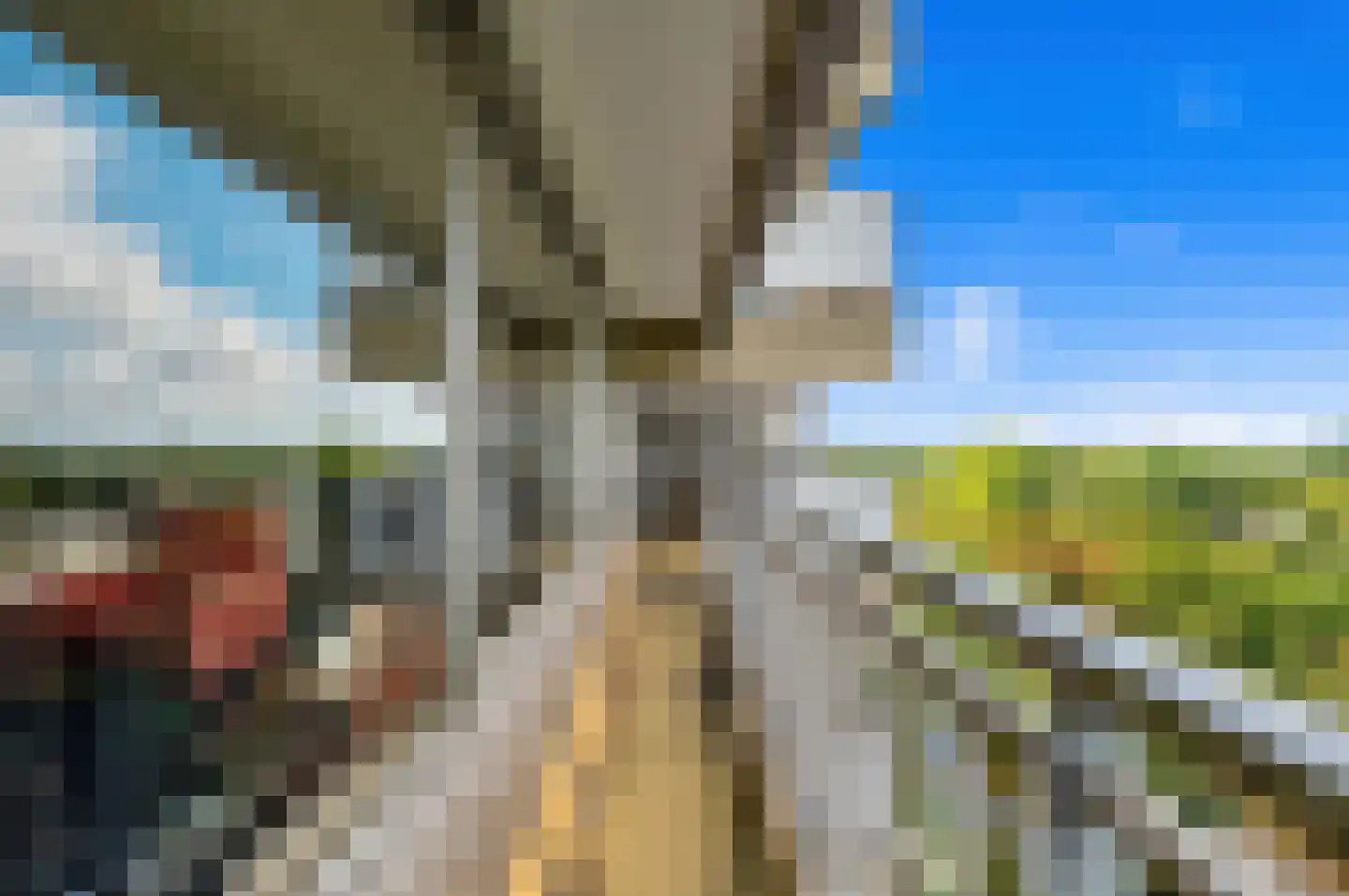 Aart van der Leeuwlaan 98 Delft thumbnail 18