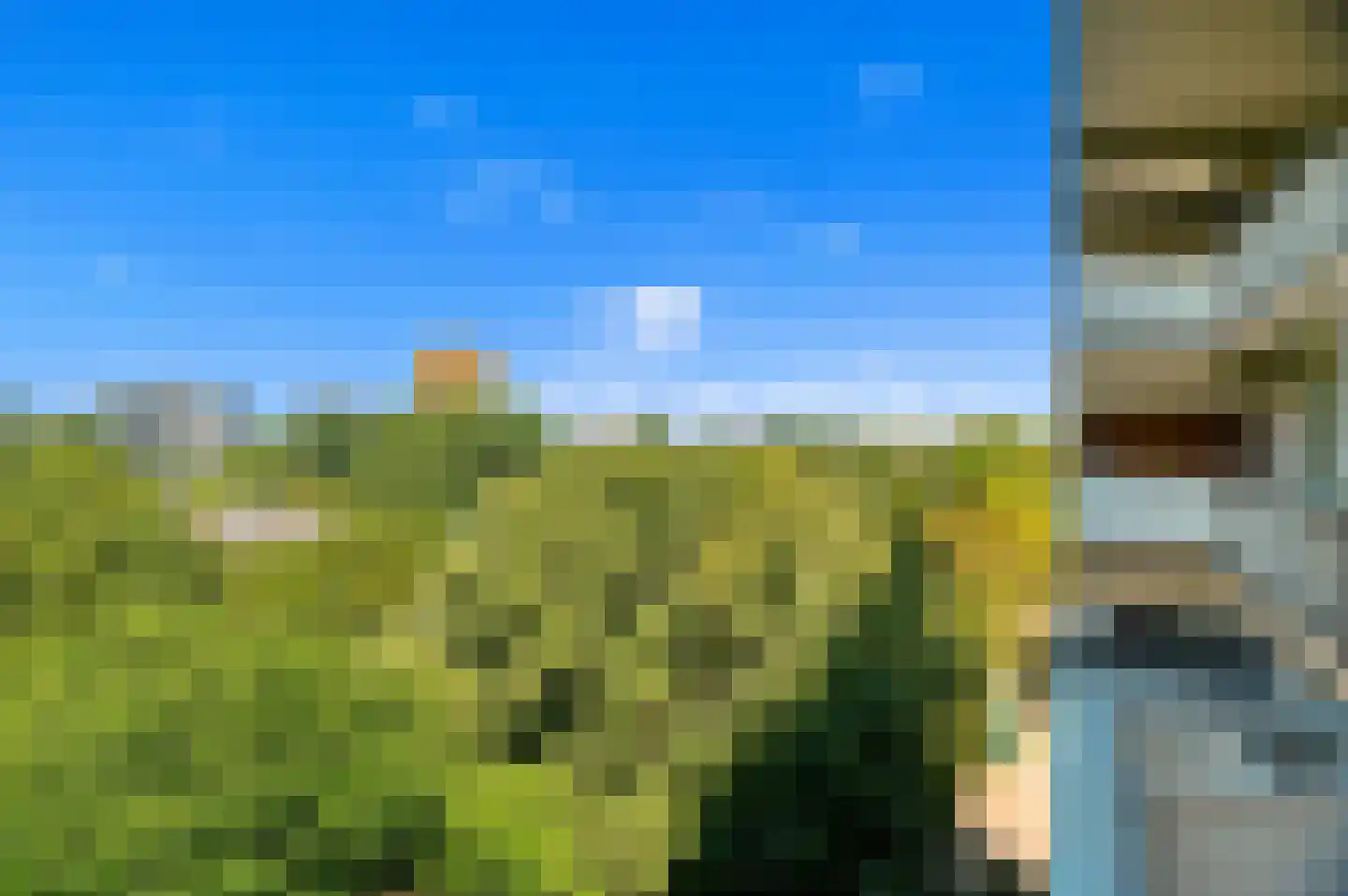 Aart van der Leeuwlaan 98 Delft thumbnail 21