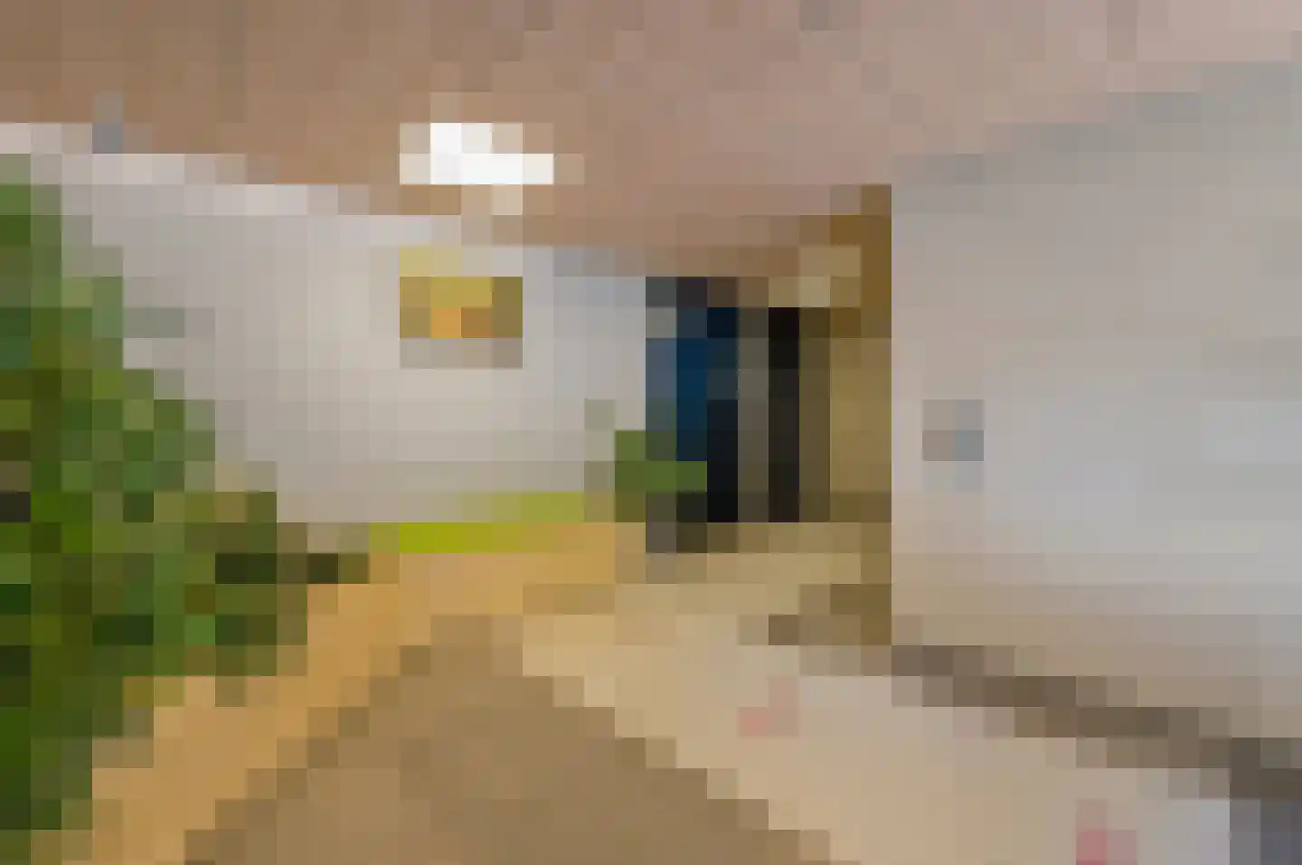 Aart van der Leeuwlaan 98 Delft thumbnail 7