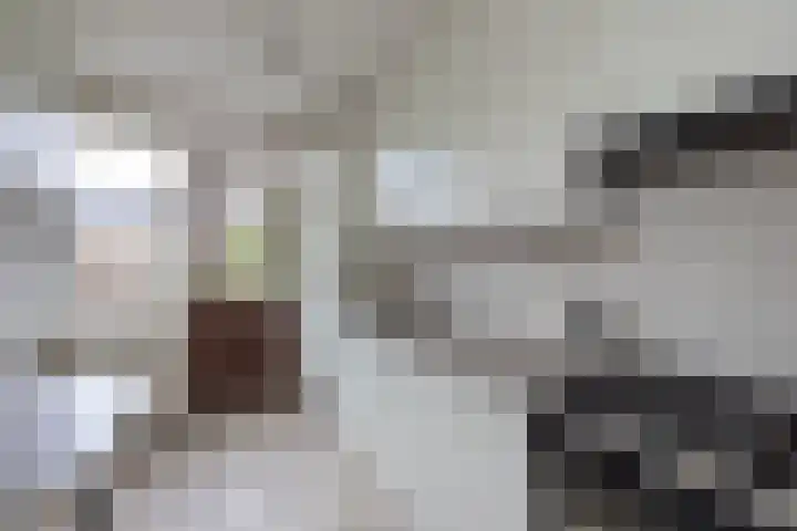 Aart van der Leeuwstraat 11 Hengelo thumbnail 11