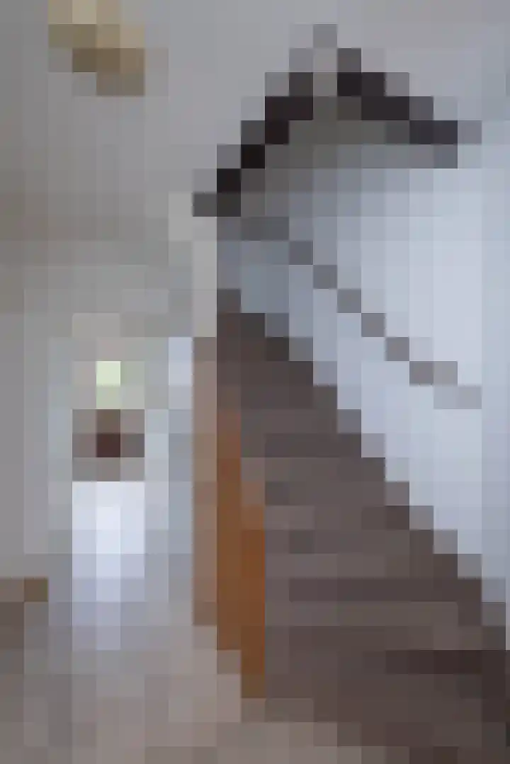 Aart van der Leeuwstraat 11 Hengelo thumbnail 13