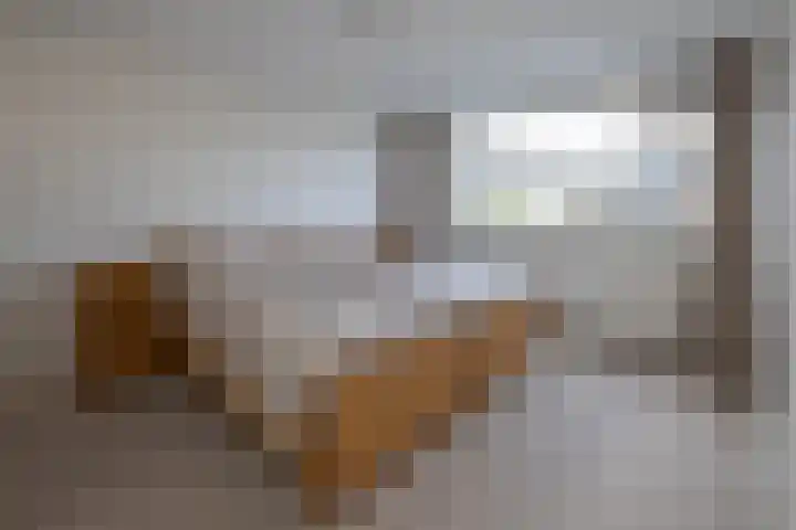 Aart van der Leeuwstraat 11 Hengelo thumbnail 14